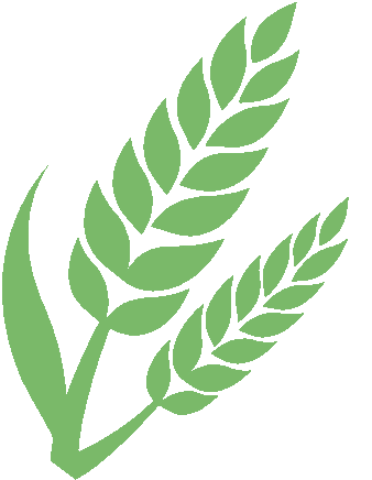 护人同时报, IpwAA, 纺织大道桥 护人同时报, IpwAA, 纺织大道桥