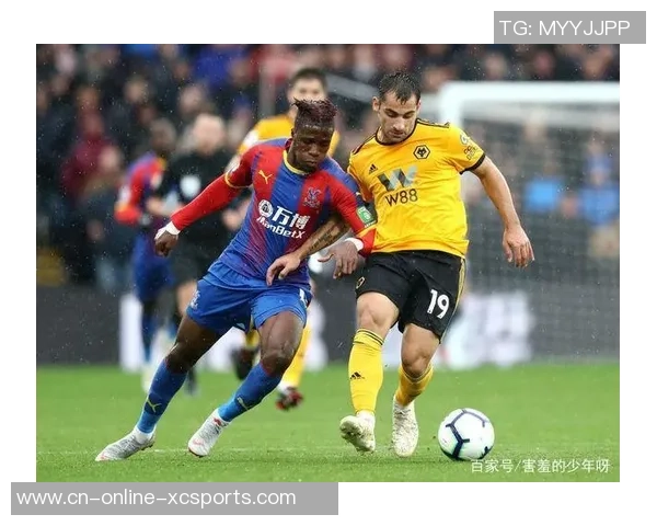 什鲁斯伯里与狼队历史交锋比分回顾及分析